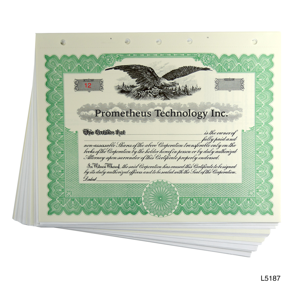 Blank Corporate Stock Certificates | HUBCO Standard [4 Color Options] (Pack  of 20)